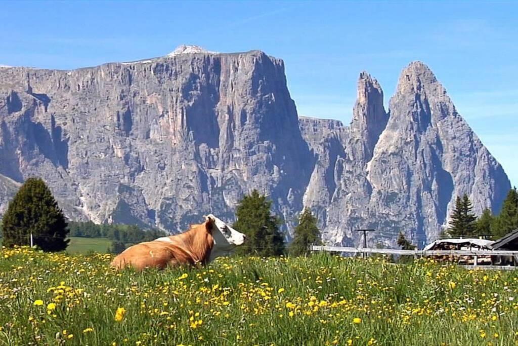 Apartament Fantastico Monolocale In Siusi Sciliar Zewnętrze zdjęcie