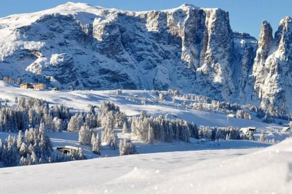 Apartament Fantastico Monolocale In Siusi Sciliar Zewnętrze zdjęcie